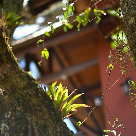 Vila Badenwein Campos do Jordão Exteriér fotografie